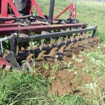 incorporating green manure into the soil