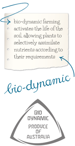 bio-dynamic farming activates the life of the soil, allowing plants to selectively assimilate nutrients according to their requirements